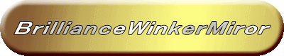 BrillianceWinkerMiror